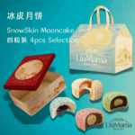 （RM12 OFF）Metal Tin 4pcs Box + Cooler Bag 精美铁罐 4粒装 + 精美保冷袋 -RM12.00